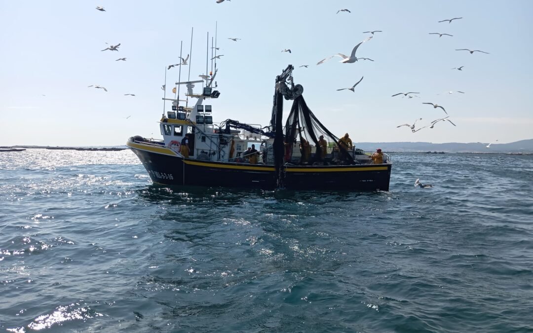 Ruta Artes de Pesca