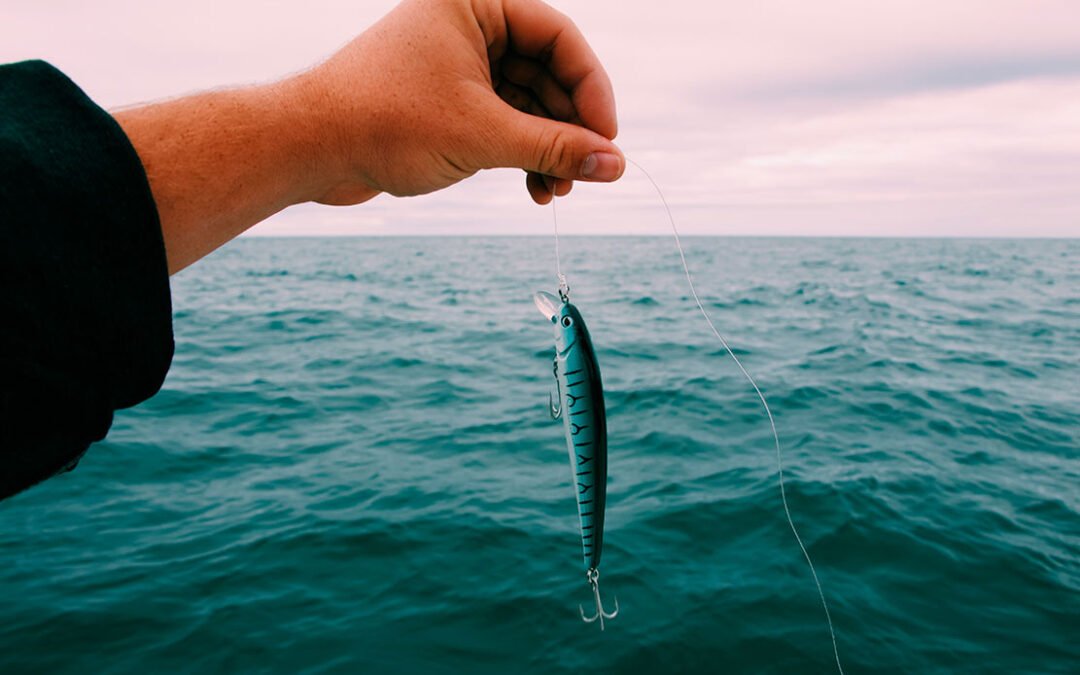 Ruta Pesca dentro de la Ría